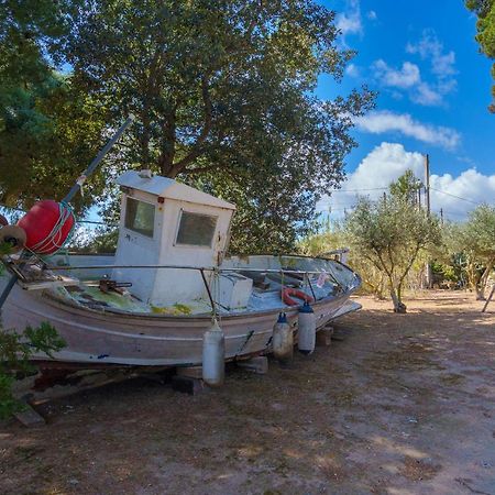 Villa Bon Pas Alcudia By Mallorca Villa Selection מראה חיצוני תמונה